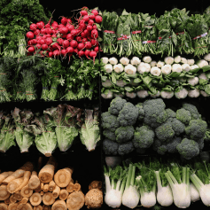 Vegetable