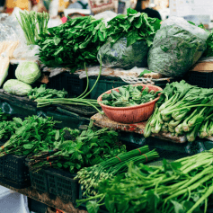 Vegetable