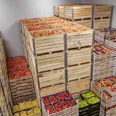 Crated Produce