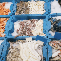 Bulk Seafood